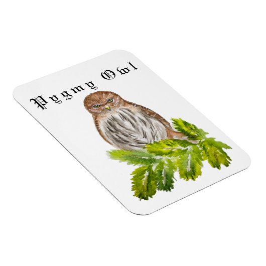 水彩見た白い可愛いカワイフクロウ マグネット (右側)