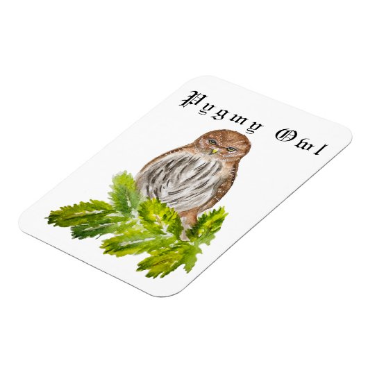 水彩見た白い可愛いカワイフクロウ マグネット (左側)