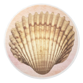 水彩貝殻かわいい背航海の景海 セラミックノブ