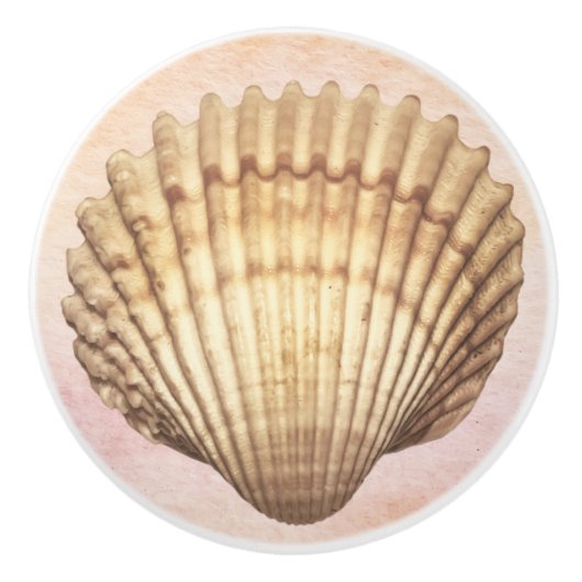 水彩貝殻かわいい背航海の景海 セラミックノブ (正面)