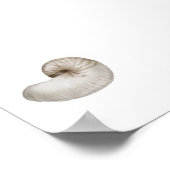 水彩貝殻ポスター ポスター (角)