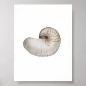水彩貝殻ポスター ポスター (正面)