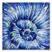 水彩貝殻写真プリント