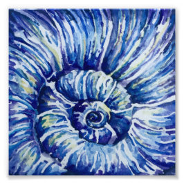 水彩貝殻写真プリント フォトプリント           