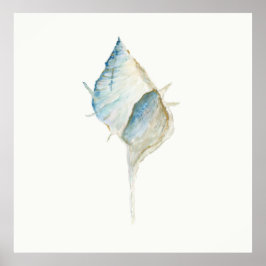 水彩貝殻 ポスター