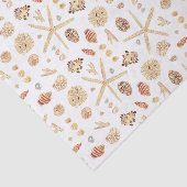 水彩貝殻 薄葉紙 (詳細)