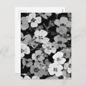 水彩赤い花2 シーズンポストカード (正面/裏面)