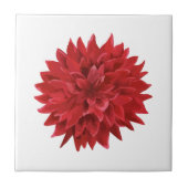 水彩赤い花 タイル (正面)