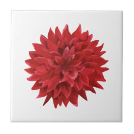 水彩赤い花 タイル