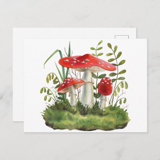 水彩赤い野生の森キノコ ポストカード (正面/裏面)