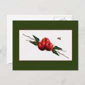 水彩赤りんご ポストカード (正面/裏面)