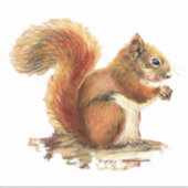 水彩赤リス動物自然野生動物アート シール (正面)