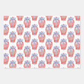 水彩赤白&青パトリオティックジンジャージャー ラッピングペーパーシート (正面3)