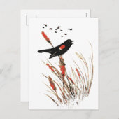 水彩赤翼ブラックバード動物芸術 シーズンポストカード (正面/裏面)