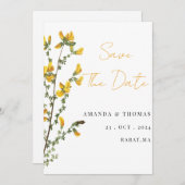 水彩野草防法 セーブザデート (正面/裏面)