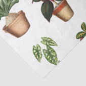 水彩鉢植えテラコッタポットパターン 薄葉紙 (詳細)