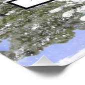 水彩雪の松フォトファミリーツリー ポスター (コーナー)