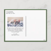 水彩雪ピネコーンハッピーホリデーズフォト シーズンポストカード (裏面)