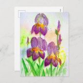 水彩青紫アイリス絵を描ズ シーズンポストカード (正面/裏面)