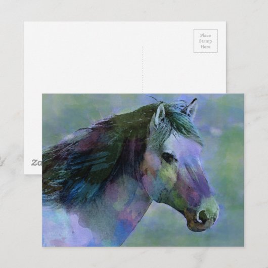 水彩馬 ポストカード (正面/裏面)