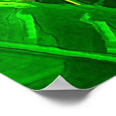 水彩鳥プリント ポスター (角)