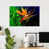 水彩鳥プリント ポスター (ホームオフィス)