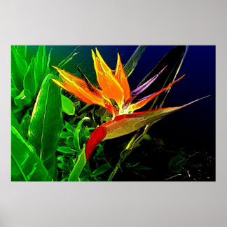 水彩鳥プリント ポスター