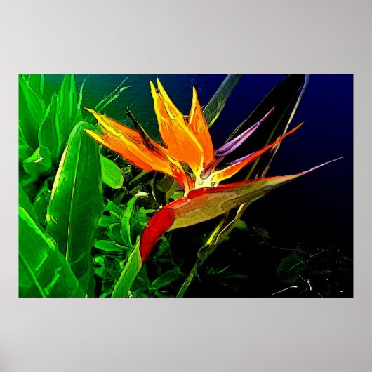 水彩鳥プリント ポスター (正面)