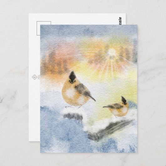 水彩鳥絵はがき ポストカード (正面/裏面)