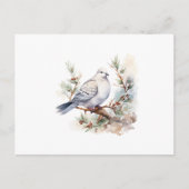 水彩鳩の葬儀シンファティサンキューカード ポストカード (正面)