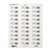 水彩鴨とアヒル ラベル (フルシート)