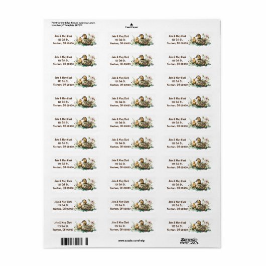 水彩鴨とアヒル ラベル (フルシート)