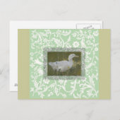 水彩鴨葉書 ポストカード (正面/裏面)