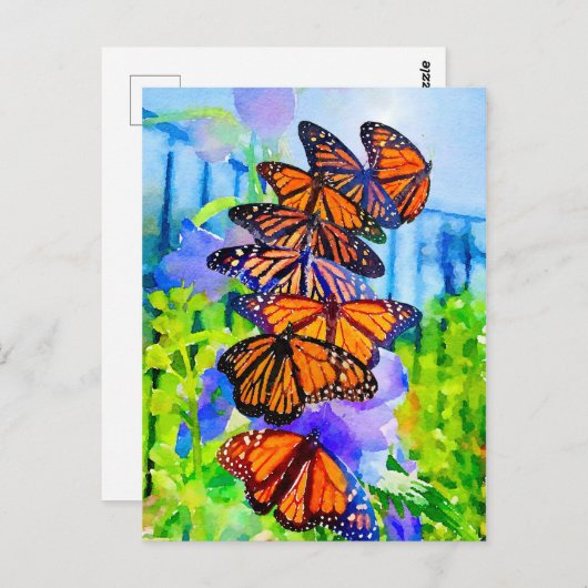 水彩(昆虫)オオカバマダラ、モナーク移救行~(昆虫)オオカバマダラ、モナーク ポストカード (正面/裏面)
