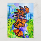 水彩(昆虫)オオカバマダラ、モナーク移救行~(昆虫)オオカバマダラ、モナーク ポストカード (正面)
