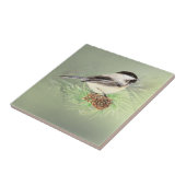 水彩《鳥》アメリカゴガラ鳥in松の木自然 タイル (側面)