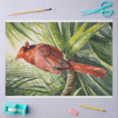 水彩(鳥)ショウジョウコウカンチョウトロピカルツリーデクページ 薄葉紙 (クラフト)