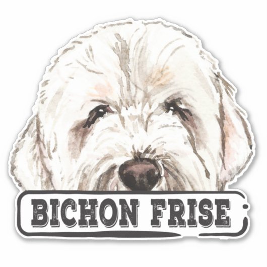 水彩Bichon Frise シール (正面)