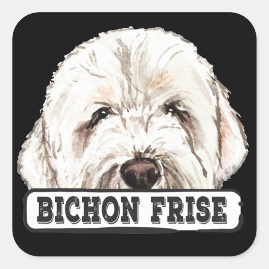 水彩Bichon Frise スクエアシール (正面)