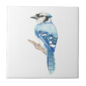 水彩Blue Jay Bird Art タイル (正面)
