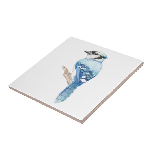 水彩Blue Jay Bird Art タイル (側面)