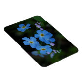 水忘れMe-Not Flowersマグネット マグネット (右側)