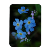水忘れMe-Not Flowersマグネット マグネット (縦)