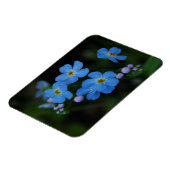 水忘れMe-Not Flowersマグネット マグネット (左側)