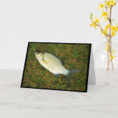 水感じの魚か?Get Well Card(ウェルカードの取得) カード (黄色い花)