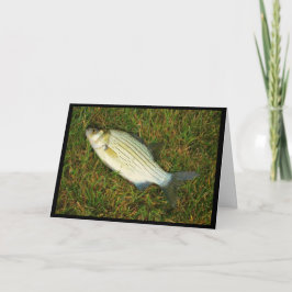 水感じの魚か?Get Well Card(ウェルカードの取得) カード