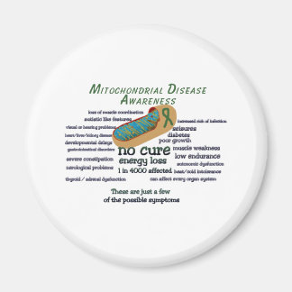 水戸の現状 マグネット