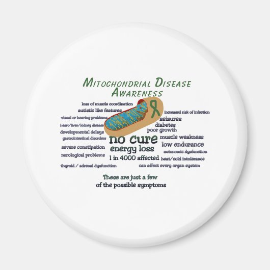 水戸の現状 マグネット (正面)