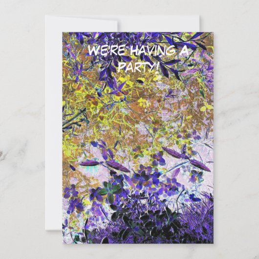 水招待状 (正面)