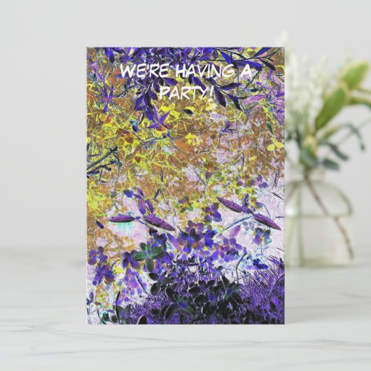 水招待状 (スタンド正面)